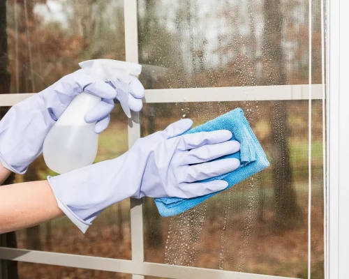 window cleaning